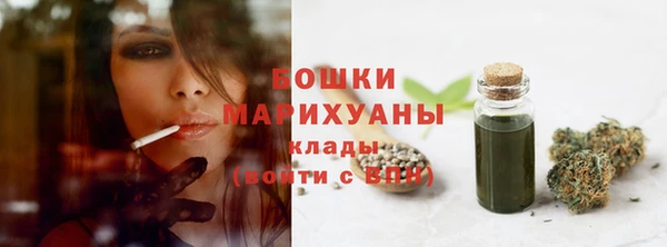 мдпв Бронницы