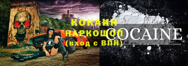 мдпв Бронницы