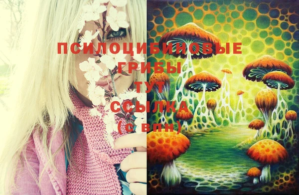 спиды Бугульма