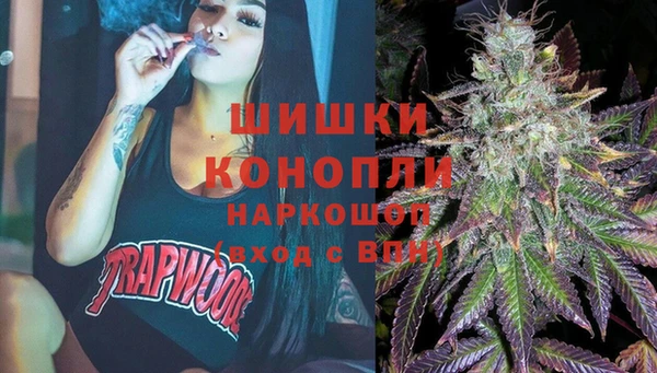 мдпв Бронницы