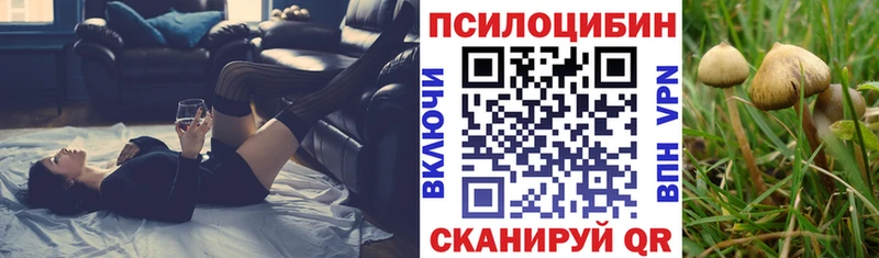 Галлюциногенные грибы Psilocybe  Нарьян-Мар 